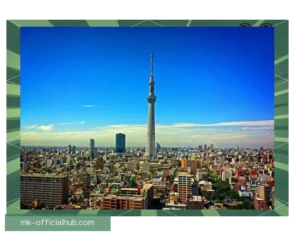 世界杯赛事深度解析与竞猜策略全方位指南